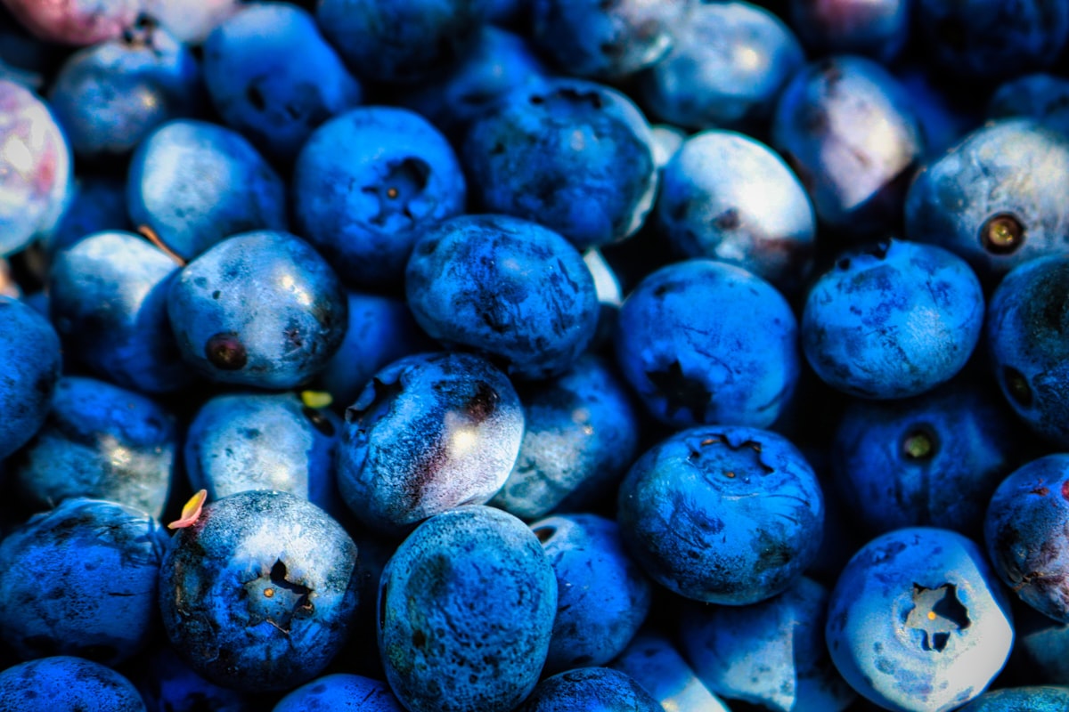 Berries Full of Antioxidants